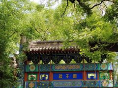 -北京国子监胡同