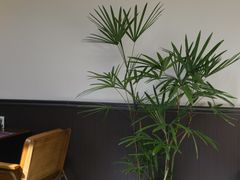 -沏点Trattoria意大利餐厅(新街口店)