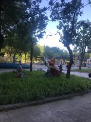 -大望京儿童游乐场