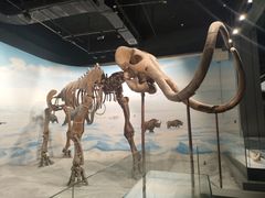 -辽宁古生物博物馆