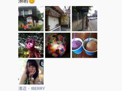 -莓园冰淇淋店
