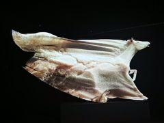 -上海宝龙美术馆