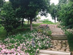 -Tuna maki寿司(园区永旺店)