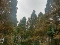 -黄兴公园
