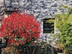 -祁门牯牛降观音堂风景区