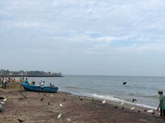 -尼甘布海鲜市场