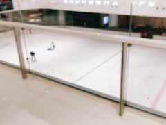 -TheRink大零溜冰场(IFS国金中心店)