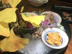 -大鮨寿司(吾悦广场店)