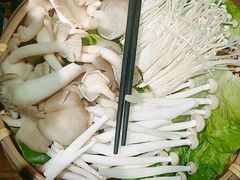 菌味鸡汤打边炉-彭厨(常州店)