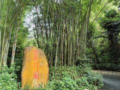 -广州市白云山风景名胜区