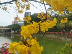 -广东药科大学(广州校区大学城校园)