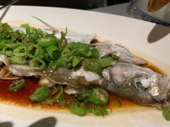 -桂满陇·海市蜃楼·黑金(国金店)