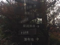 -杭州第一世界大酒店·云曼温泉