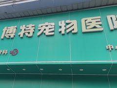 -博特宠物医院24h犬猫全科.骨科·异宠