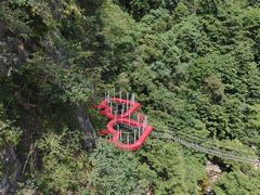 -牛背梁国家森林公园