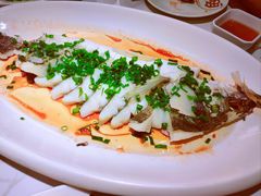 -船歌·鱼水饺青岛菜(正阳路店)