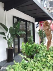-Garden花園造型