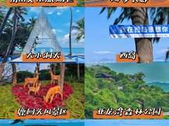 -亚龙湾热带天堂森林公园