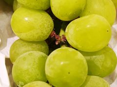 -马陆小张葡萄园农家乐