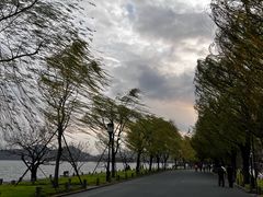 -北山街历史文化街区