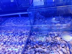 -盛江山自助料理(奥莱锦辉购物广场店)