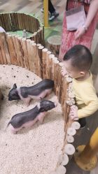 点击看大图 -七巧国萌宠乐园(龙湖天街店)