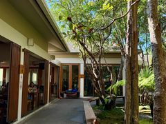 -Chom Cafe and Restaurant