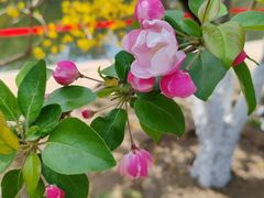 -元大都城垣遗址公园