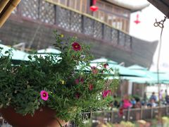 -二十八里太湖船菜(吉祥路店)