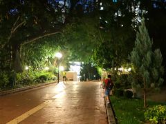 -九龙公园