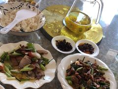 -谭家菜农夫山庄