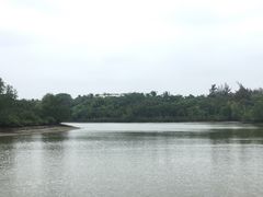 -东寨港红树林旅游区