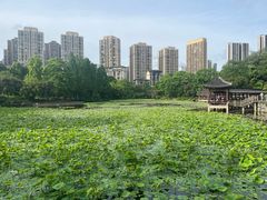 -龙头寺公园