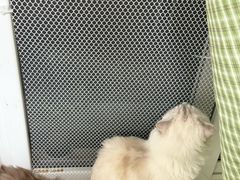 -纳吉亚猫专科动物医院博雅分院