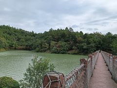 -广州白江湖森林公园