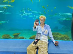 -福州罗源湾海洋世界旅游区