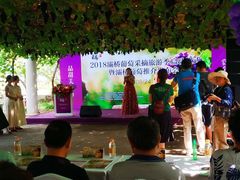 -白鹿原葡萄主题公园