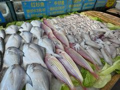 -益健美食大广场(北岭店)
