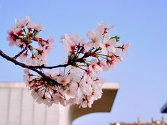 -龙美术馆(西岸馆)
