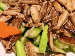 -福玺荟(外滩罗斯福店)