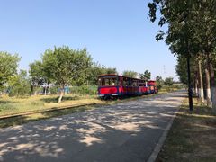 -永定河休闲森林公园