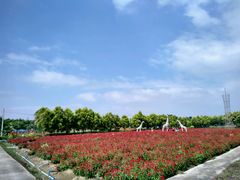 -广东花都香草世界旅游度假区