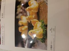 小酥鸭-便宜坊烤鸭店(科创店)