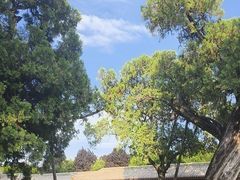 -黄帝陵