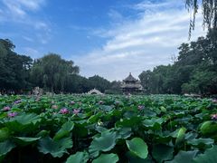 -莲池书院博物馆