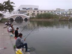 -长洲岛