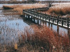 -野鸭湖国家湿地公园