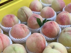 -老袁家蜜桃农场·阳山水蜜桃