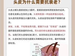 -中国农业大学(西校区)