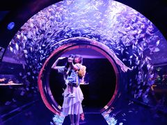 -成都浩海立方海洋公园